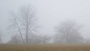 Nebel zwischen Großseifen und Eichenstruth